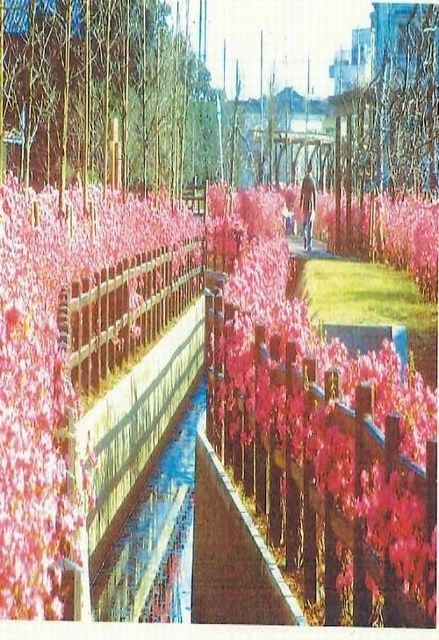 二郷半領用水緑道