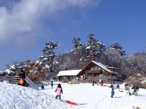 ダイヤモンドトレール