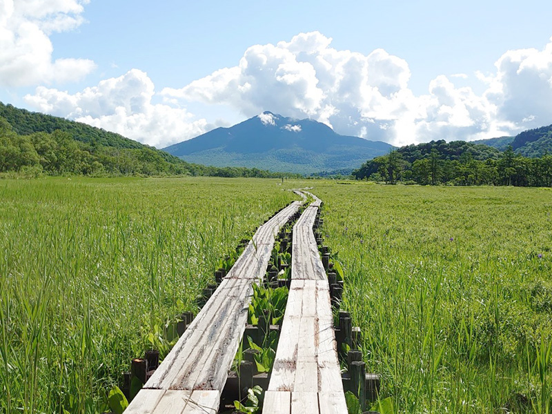 尾瀬ヶ原から燧ケ岳を望む写真