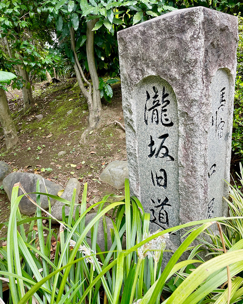 瀧坂旧道の碑の写真