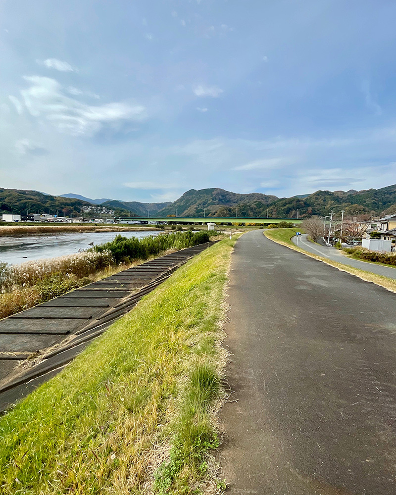 長嶋茂雄は、狩野川堤防を城山まで走った写真