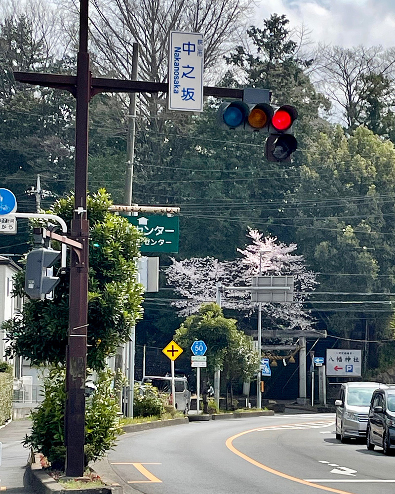 新田義貞ゆかりの八幡神社が前方に見える写真