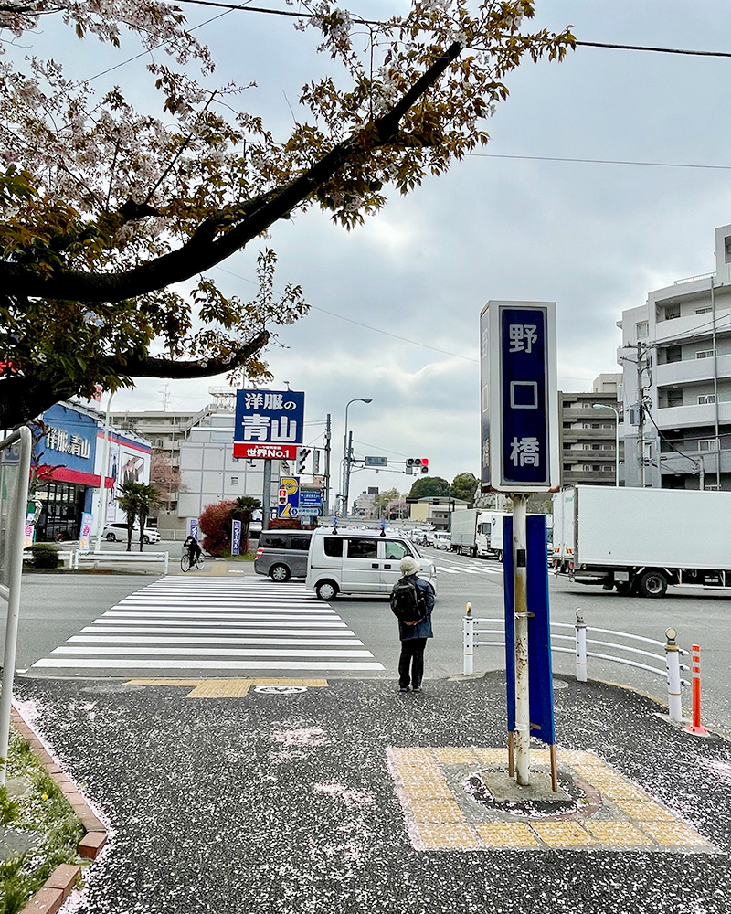 野口橋交差点で新青梅街道と交差する写真
