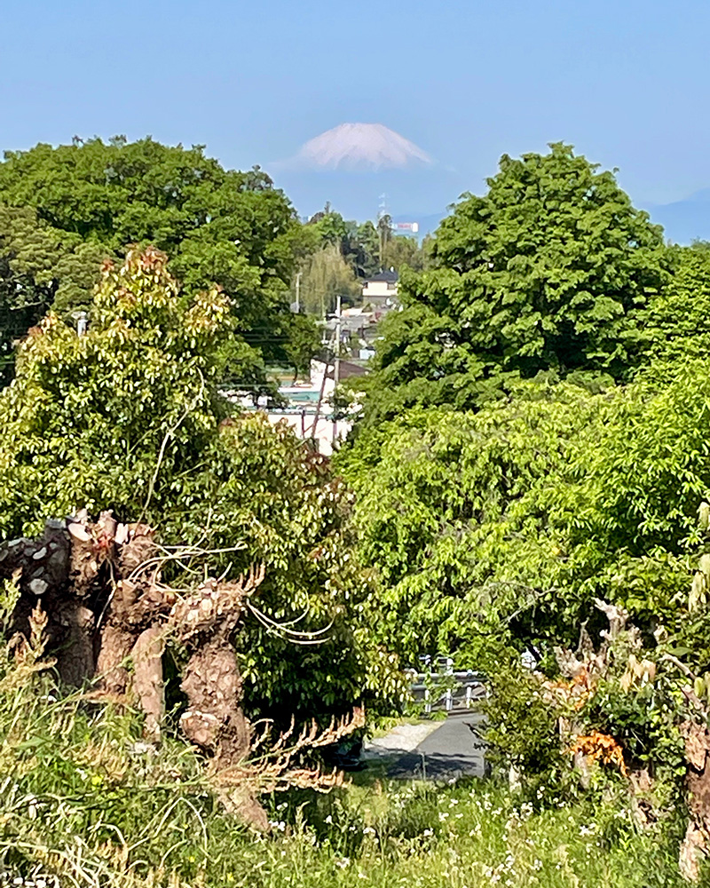 駅から鎌倉街道に向かう途中で富士山が見えた写真