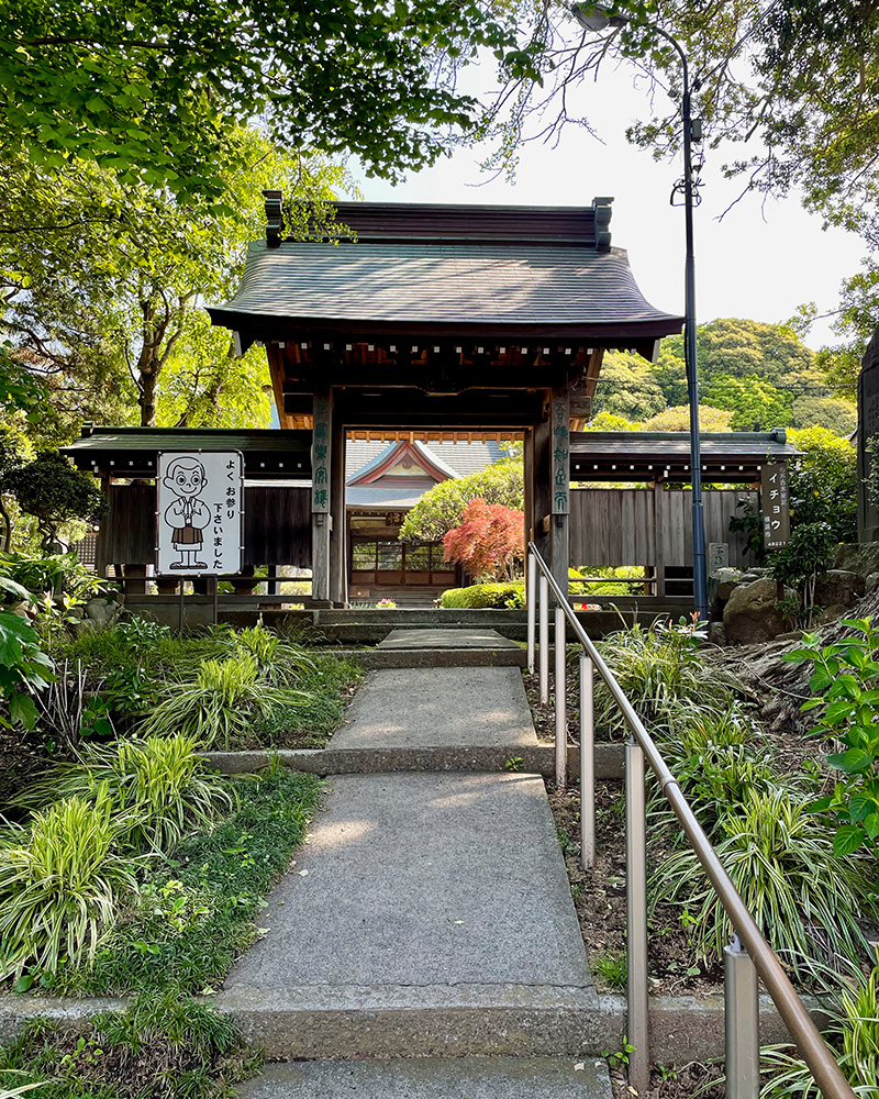 東泉寺では、飯田家義の守り本尊の薬師如来像を安置の写真