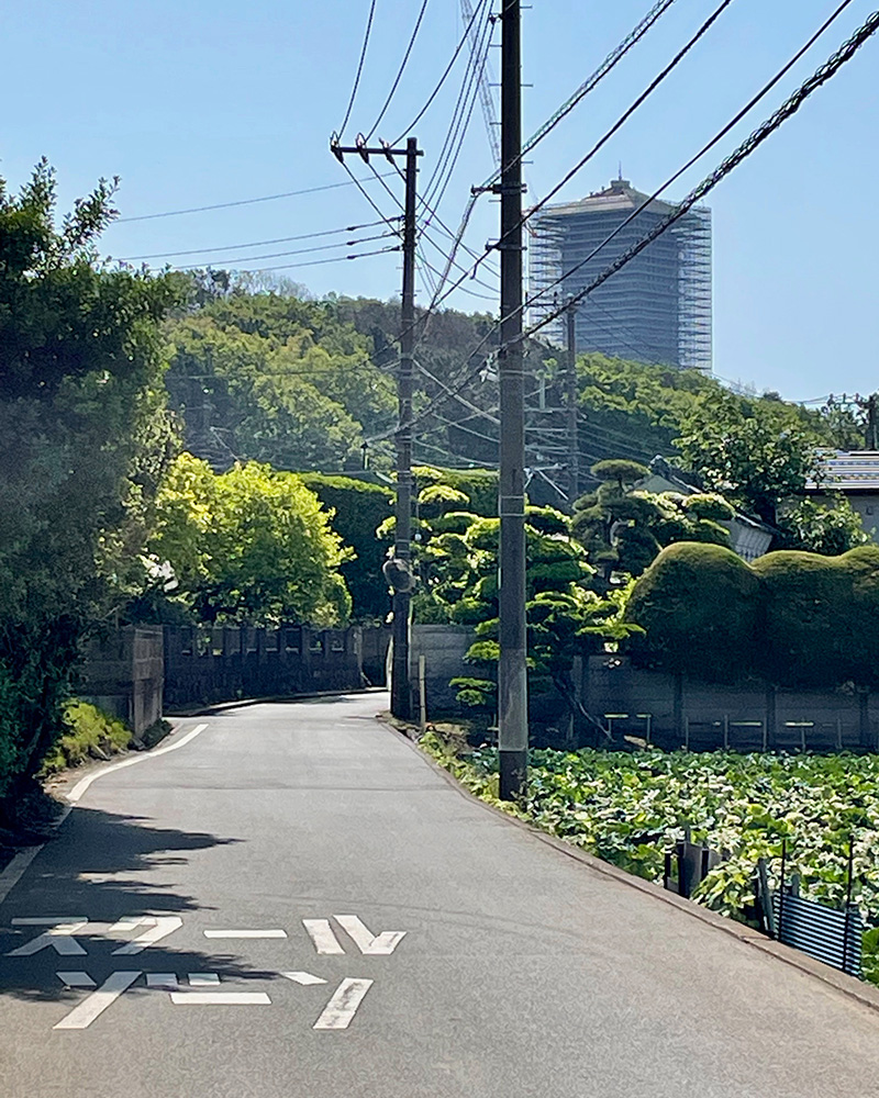 前方の高いビルは横浜薬科大学の図書館棟、かつてあったドリームランドの名残の写真