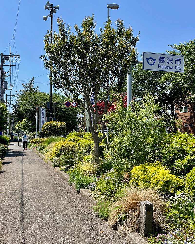 旧東海道にしばらく合流する写真