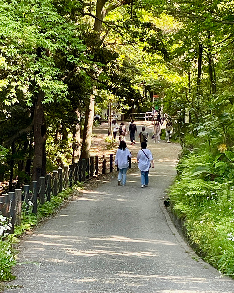源氏山公園を頼朝像のある方向へと歩く写真