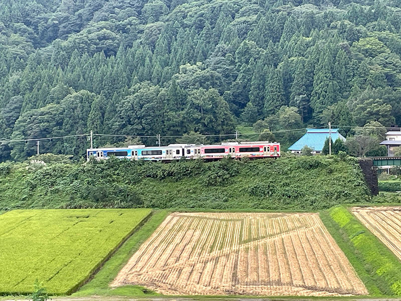 妙高はねうまラインの列車が通る写真
