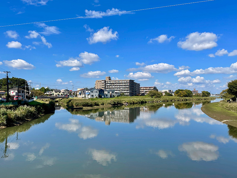 右が大落古利根川、左が古隅田川の写真