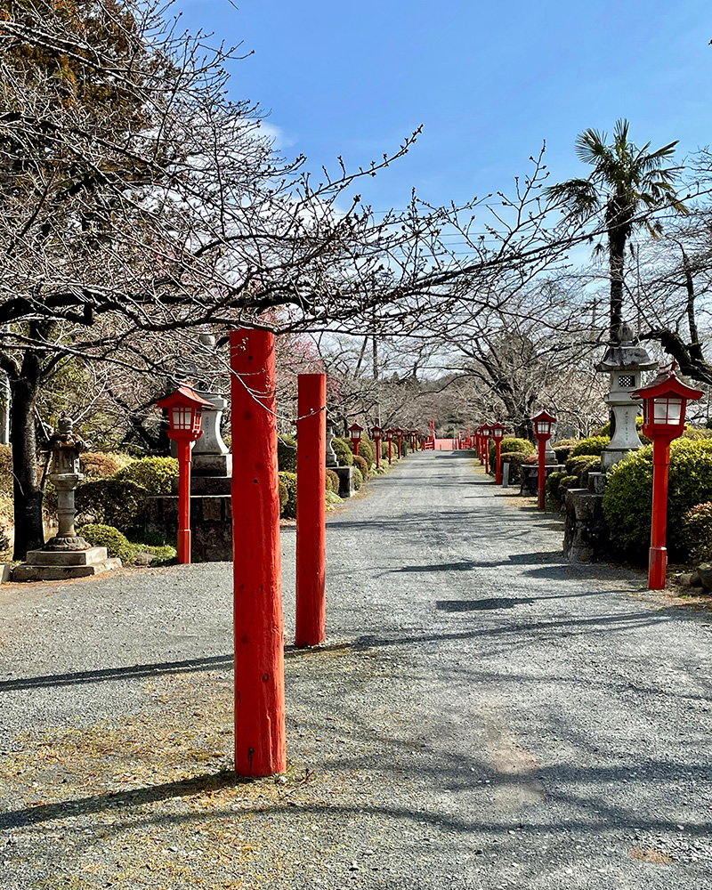 神社の参道の写真