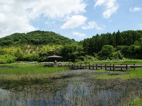 神楽女湖の写真