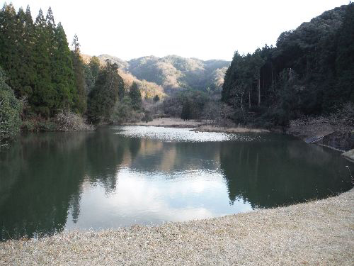 大岩ため池の写真