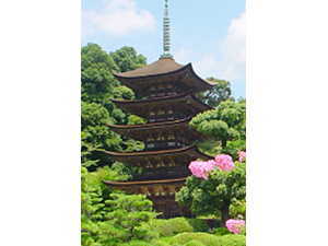 日本三名等のひとつ 瑠璃光寺 五重塔の写真