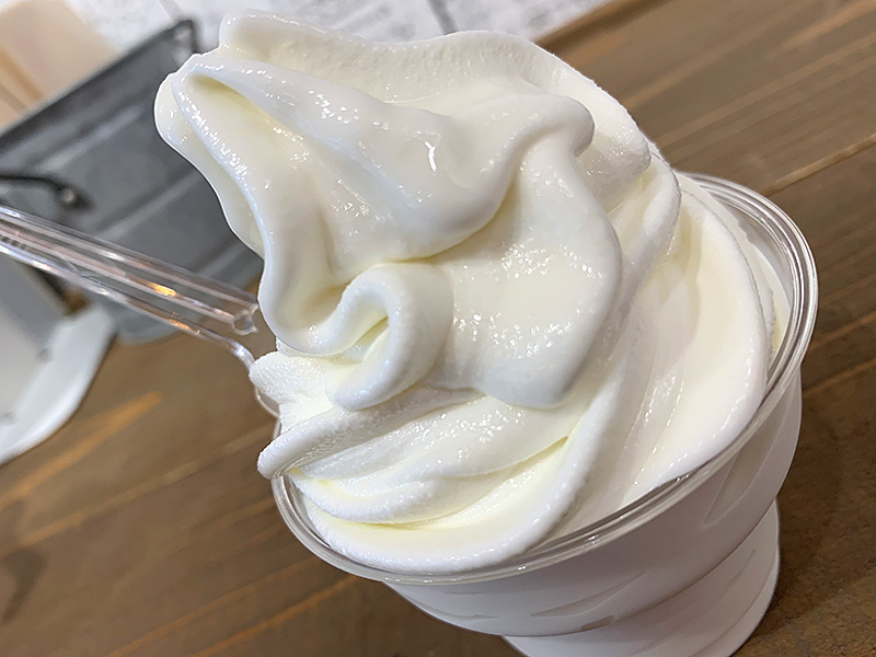 「日本では希少なガンジー牛乳のソフトクリーム」の写真