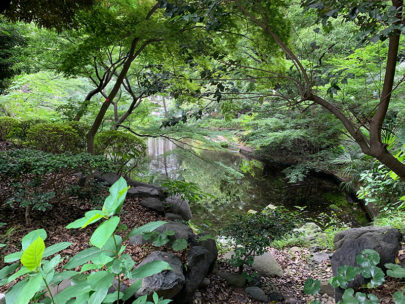 清水谷公園の池の写真