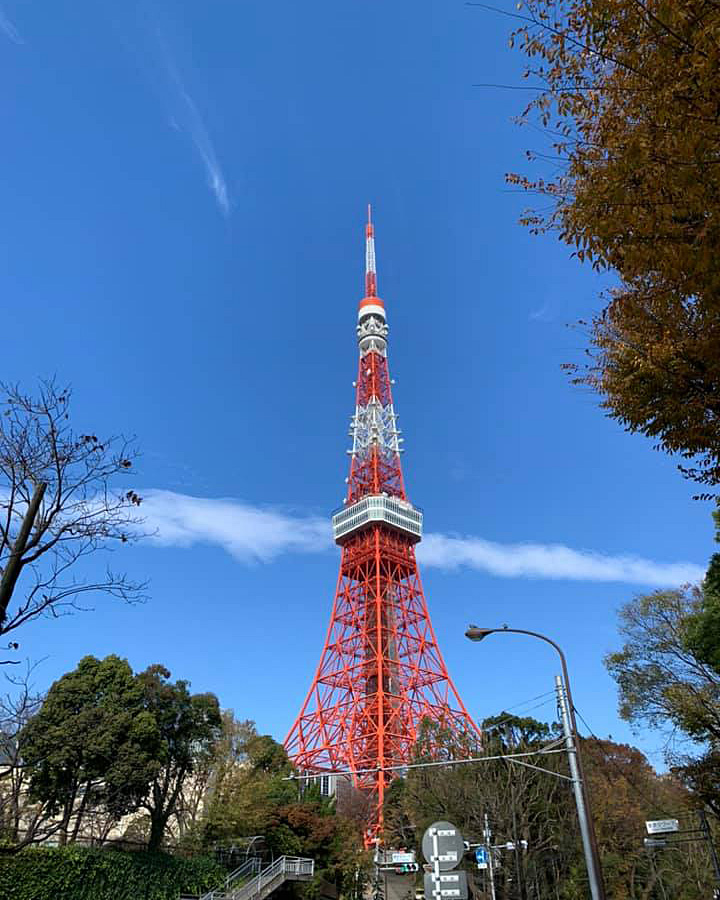 東京タワーの写真