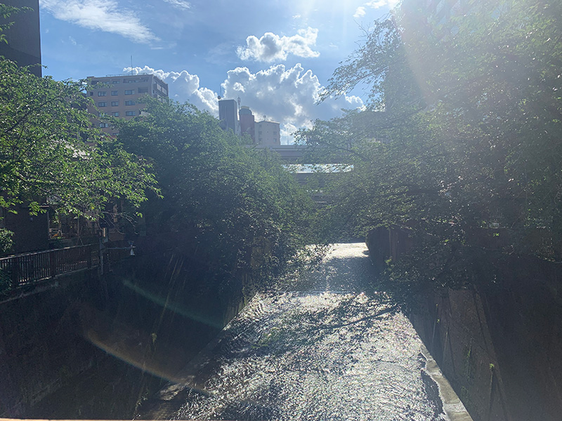 「いたばし」から見る石神井川の写真