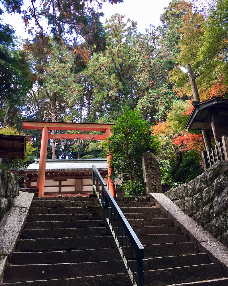夜支布山口神社の写真