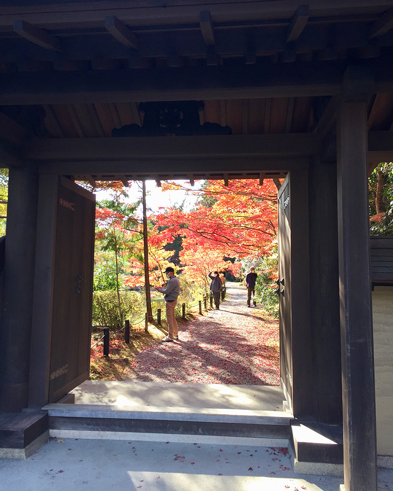 円成寺の山門の写真