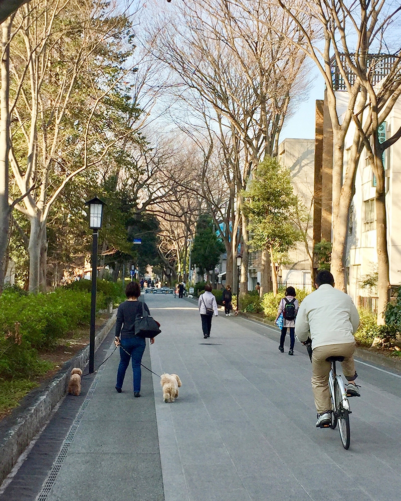 日本一長い参道を歩く写真