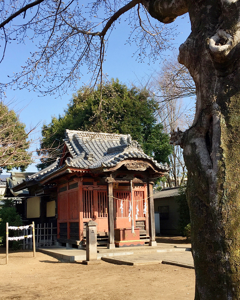 街道脇の南方神社、通称「お諏訪さま」の写真