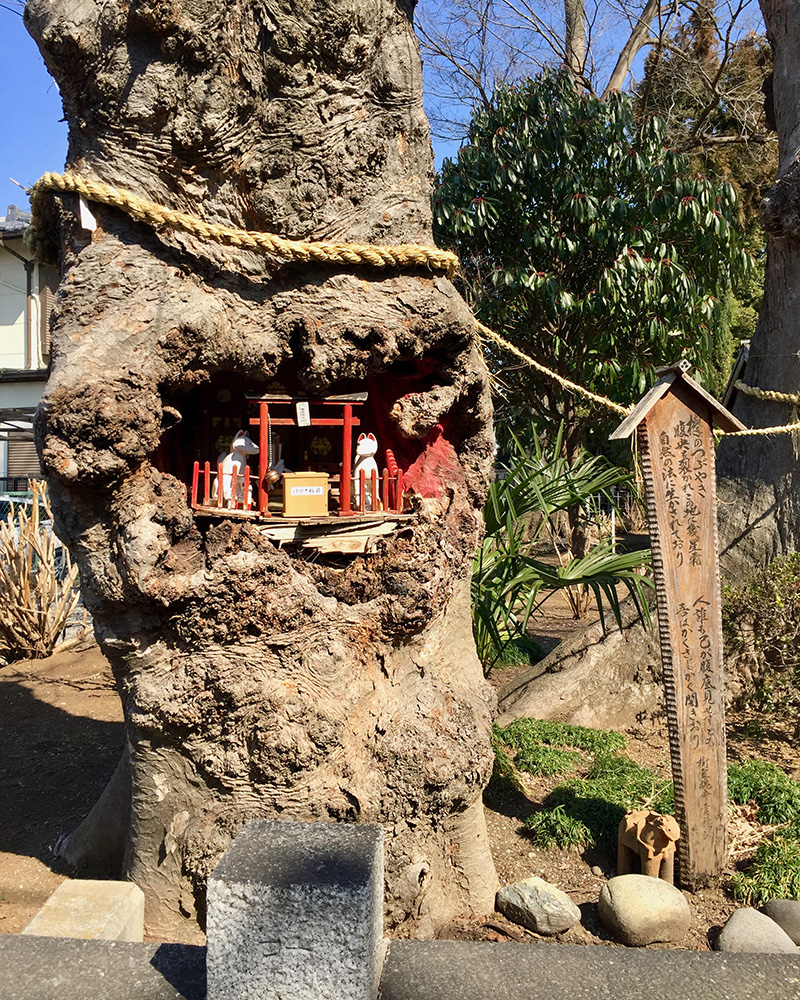 桶川稲荷神社の境内にあった小さな祠の写真