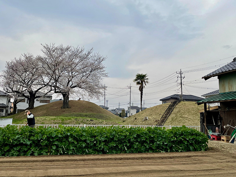 旭・小島古墳群の写真