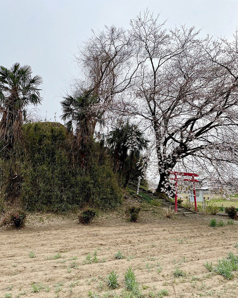 浅間山古墳の写真