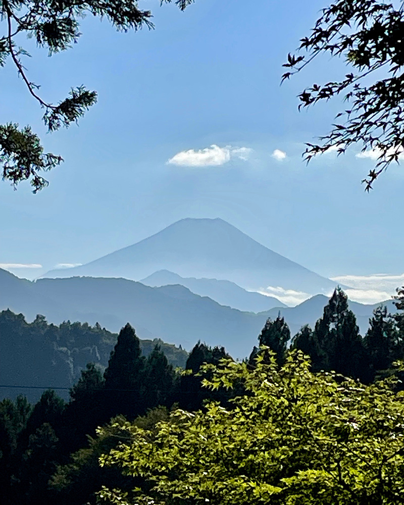 宝勝寺の境内から見た富士山の写真