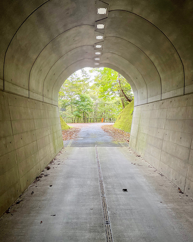 トンネル出口の緑がまぶしい写真