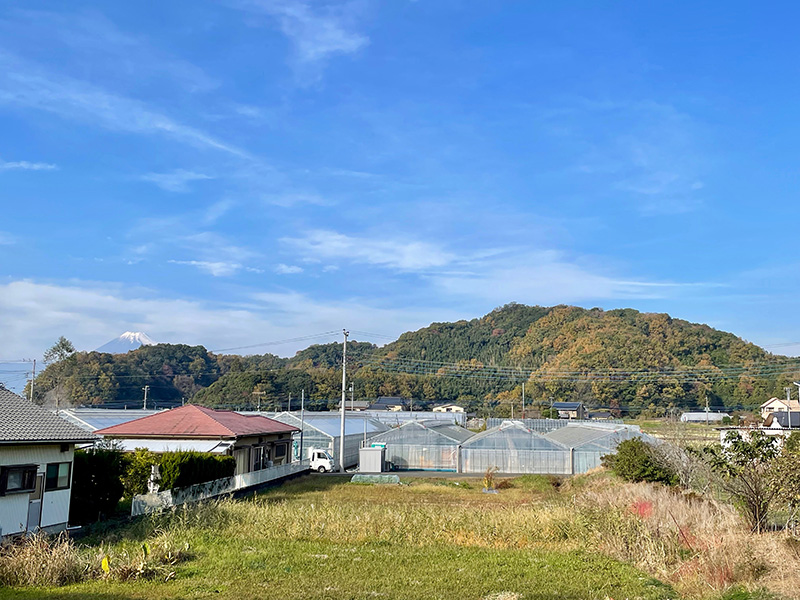 前方の山が韮山城址の写真