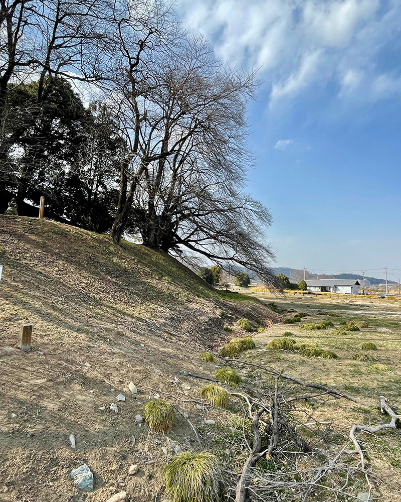 東日本最大級という七輿山古墳の写真