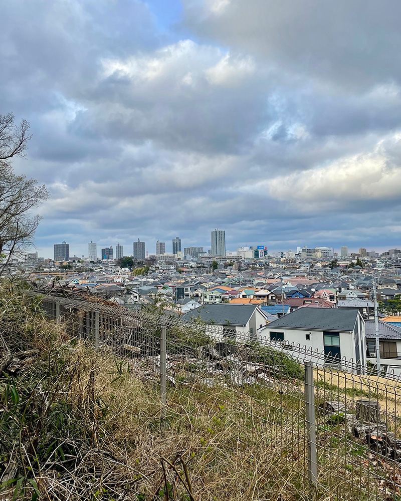 八国山から所沢の街を眺める写真