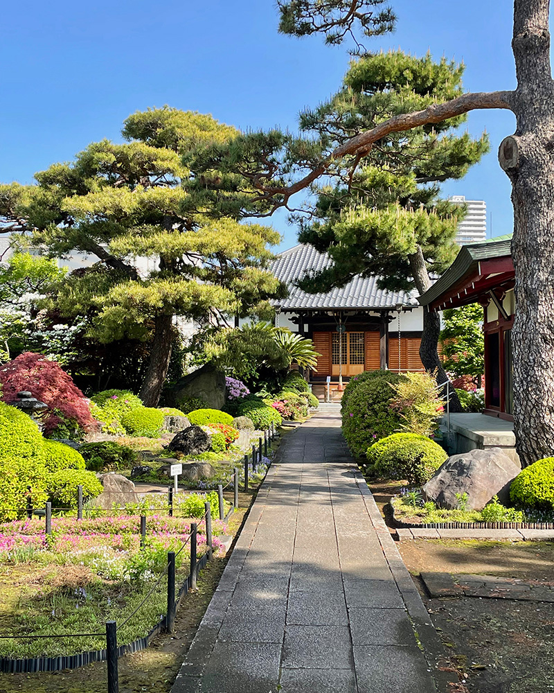 善明寺の美しい庭園の写真