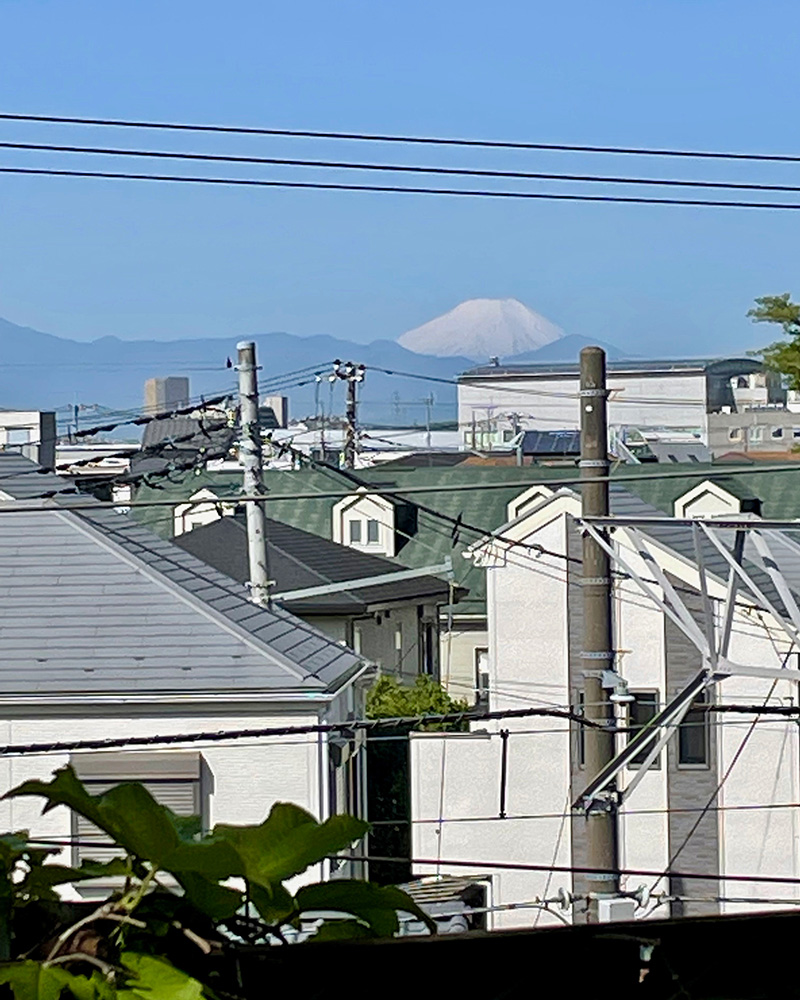 富士山が見えた！写真