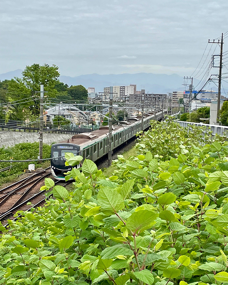 東急田園都市線が下を走る写真