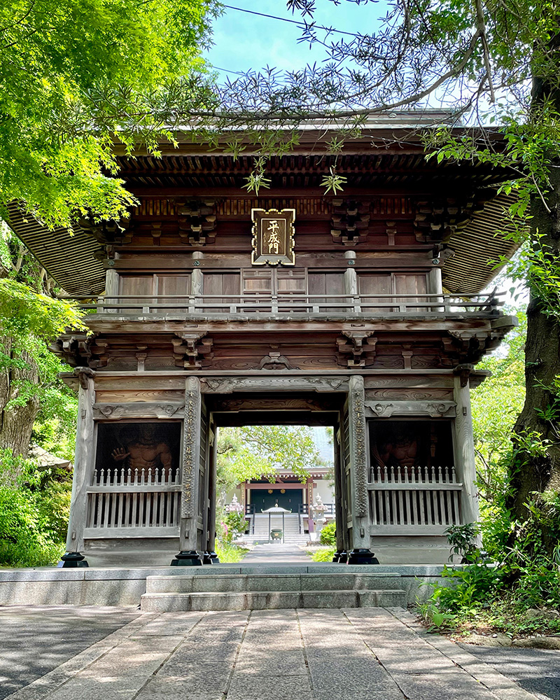 徳善寺の山門の写真