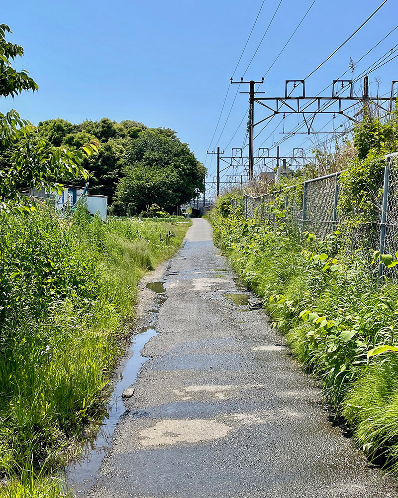 東海道線わきの道を進む写真