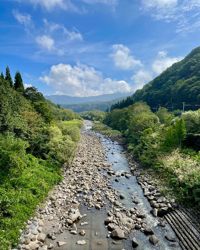 県境を流れる関川の写真