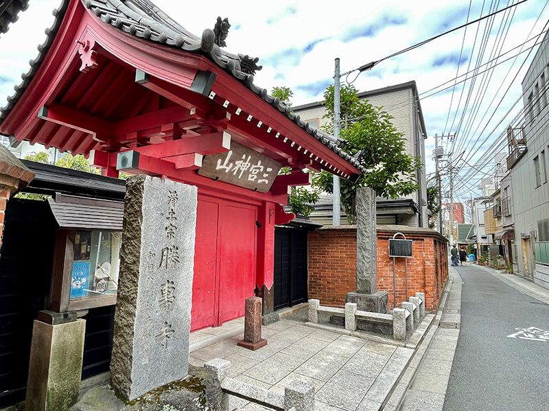 徳川将軍家の御殿があった場所、古いものも共存している写真