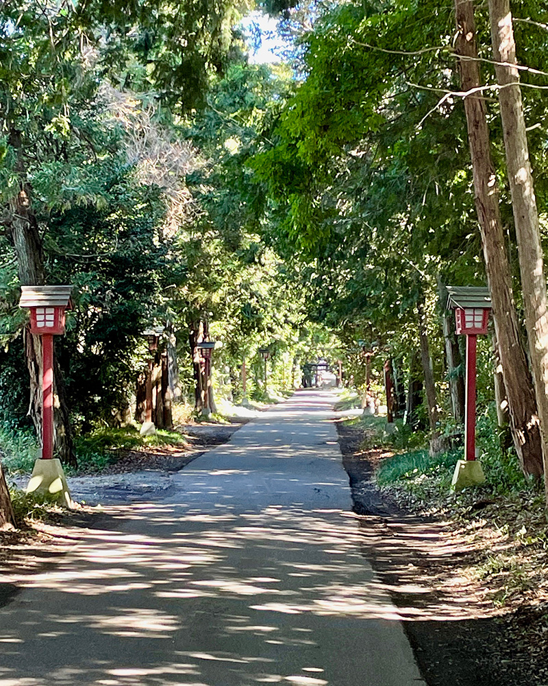 安房神社の参道を歩く写真