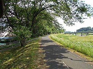 久慈川サイクリングロードの写真