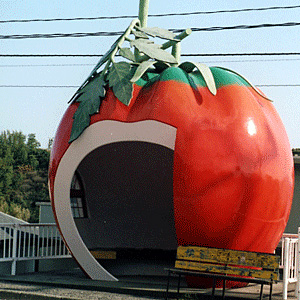 トマトのバス停の写真
