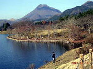 志高湖（由布岳）の写真